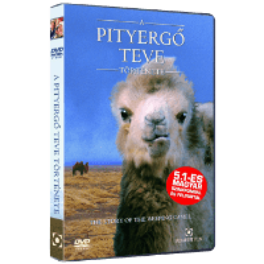 A pityergő teve története DVD