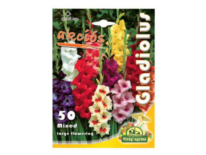 Gladiolus színkeverék