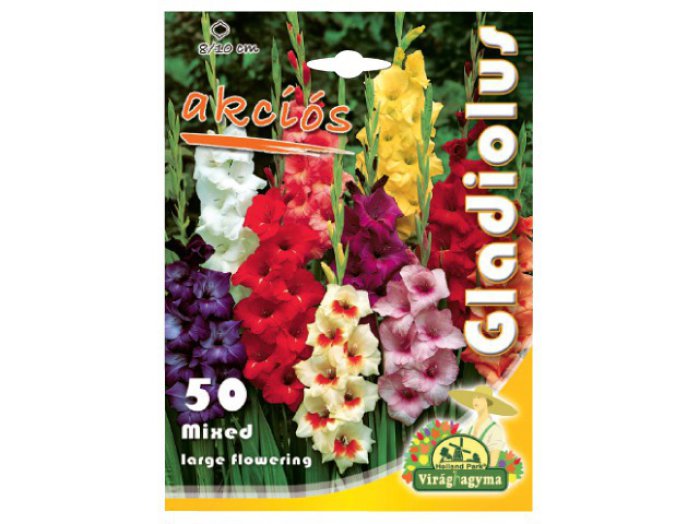 Gladiolus színkeverék