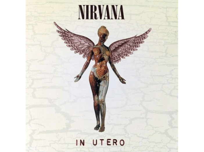 In Utero (20th Anniversary) (Deluxe Edition) CD