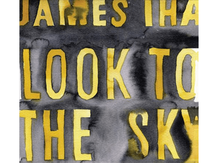 Look to the Sky CD