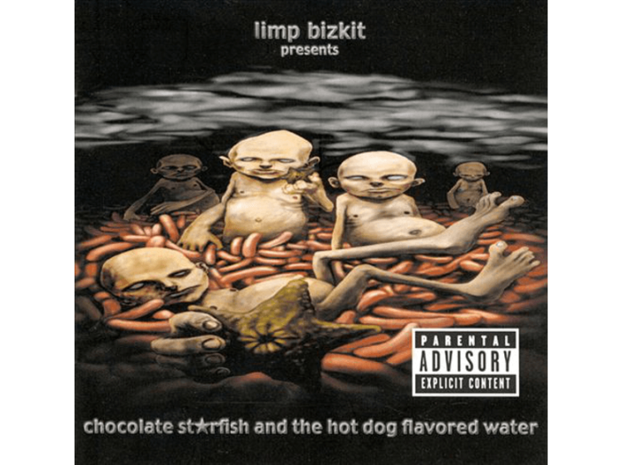 Chocolate Starfish and the Hot Dog Flavored Water CD