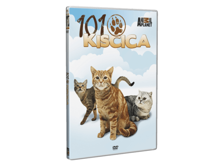 101 Kiscica DVD