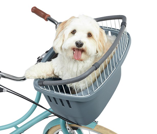 Kutyaszállító kosár kerékpárra