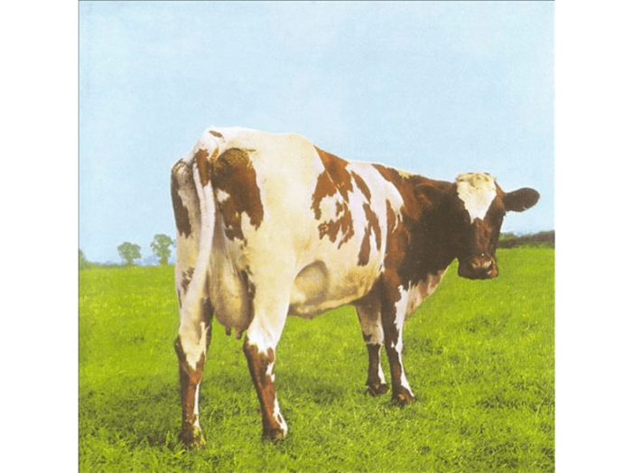 Atom Heart Mother (Vinyl LP (nagylemez))