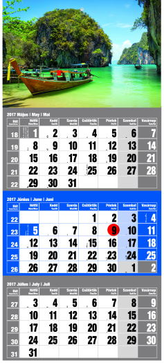 Képes egytömbös 12 lapos speditőr naptár