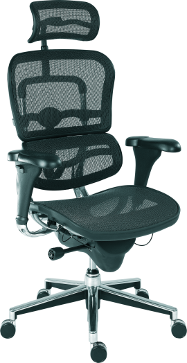 Ergohuman hálós főnöki szék fekete