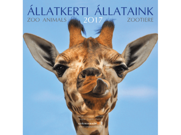 Állatkerti állataink naptár - 2017 22x22 cm