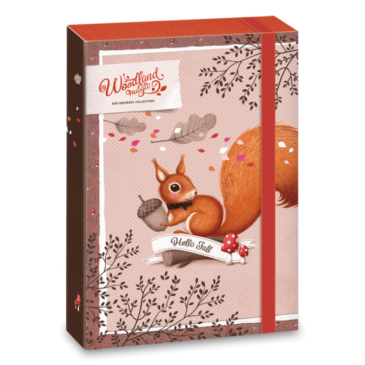 Ars Una Woodland Magic A4 füzetbox