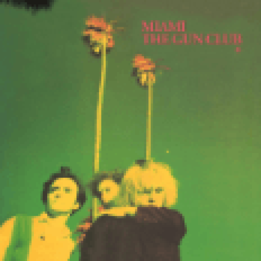 Miami LP