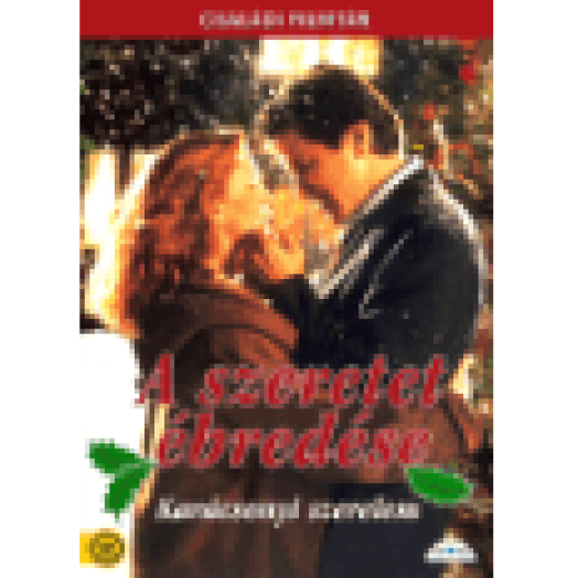 A szeretet ébredése (Karácsonyi szerelem) DVD