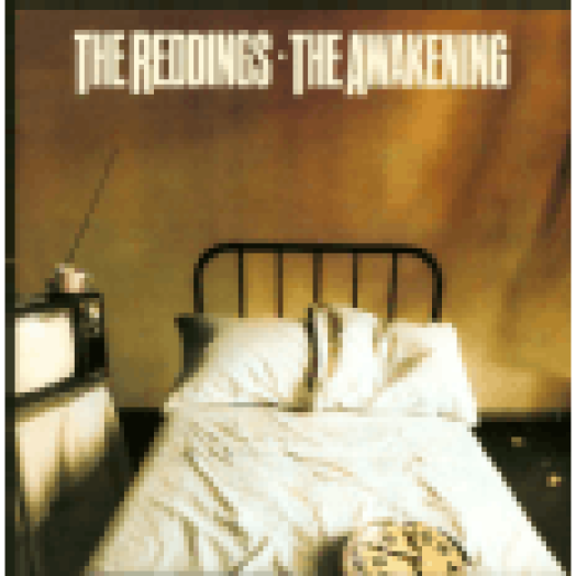 The Awakening LP