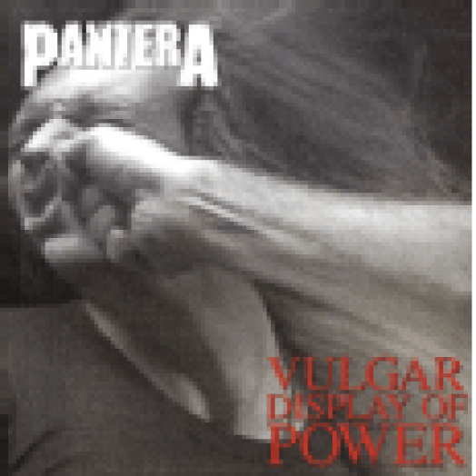 Vulgar Display of Power LP