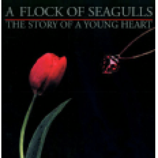 The Story of A Young Heart CD