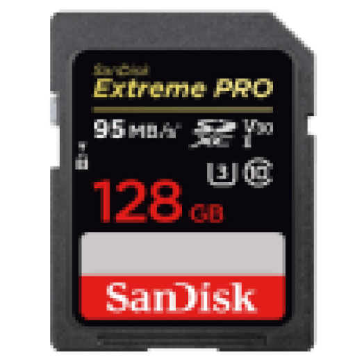 173370 SDXC EXTR.PRO 128GB,95MB/S (SDSDXXG-128G-GN4IN)