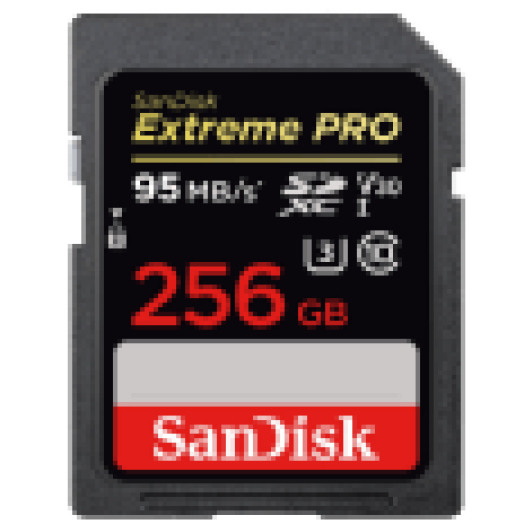173371 SDXC EXTR.PRO 256GB,95MB/S (SDSDXXG-256G-GN4IN)