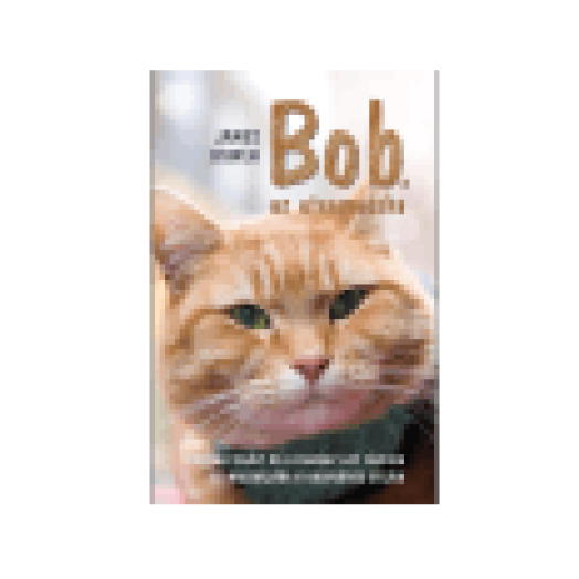 Bob, az utcamacska