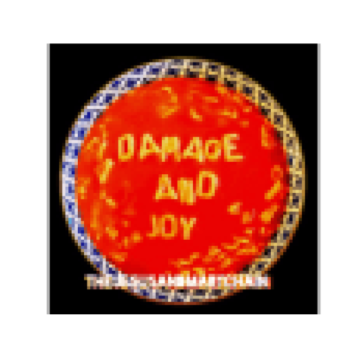 Damage & Joy (CD)