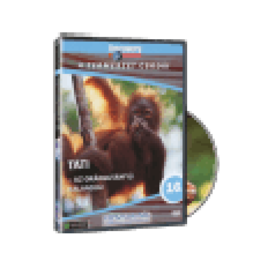 TCS 16. - Tati (DVD)