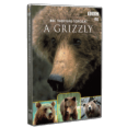 Vadvilág Sorozat - A Grizzly DVD