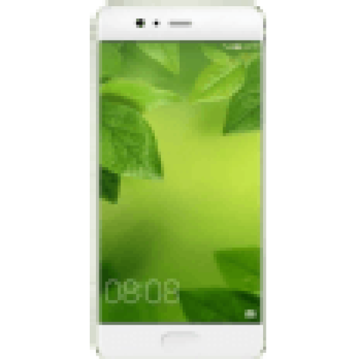 P10 DS GREEN