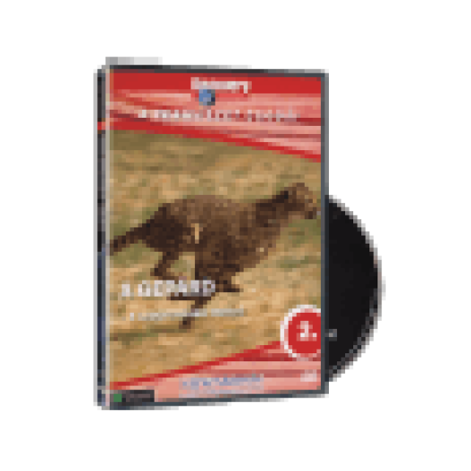 TCS 02. - A gepárd (DVD)