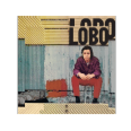 Sergio Mendes Presents (Vinyl LP (nagylemez))