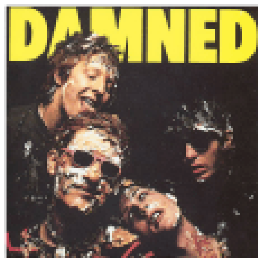Damned Damned Damned (Vinyl LP (nagylemez))