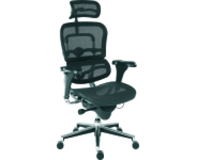 Ergohuman hálós főnöki szék fekete