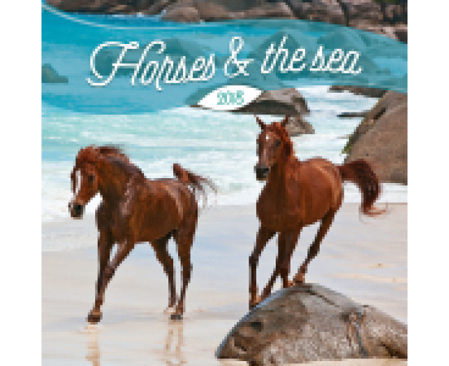 Falinaptár Horses&the Sea 6097