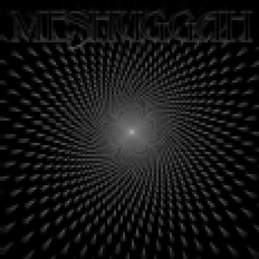 Meshuggah (Vinyl LP (nagylemez))
