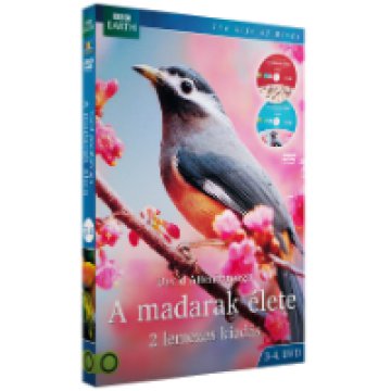A madarak élete 3-4. (díszdoboz) DVD