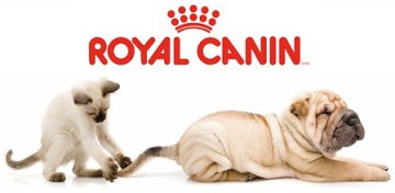 Royal Canin kutya és macska tápok