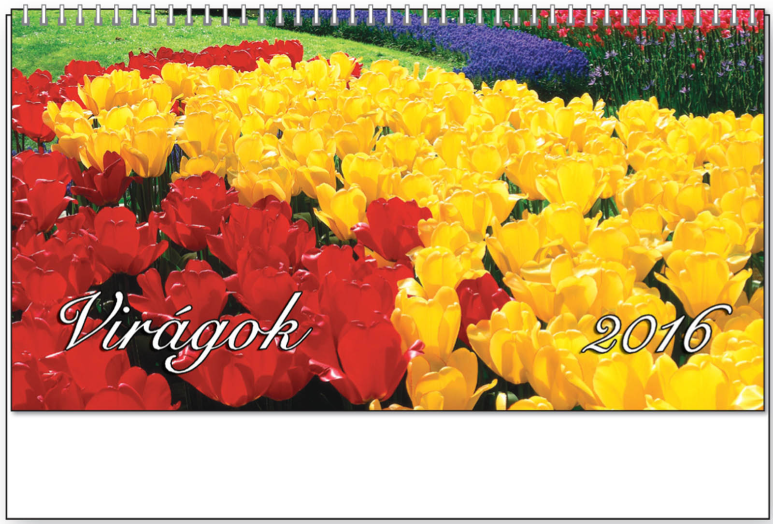 TopTimer asztali naptár T058 álló Virágok