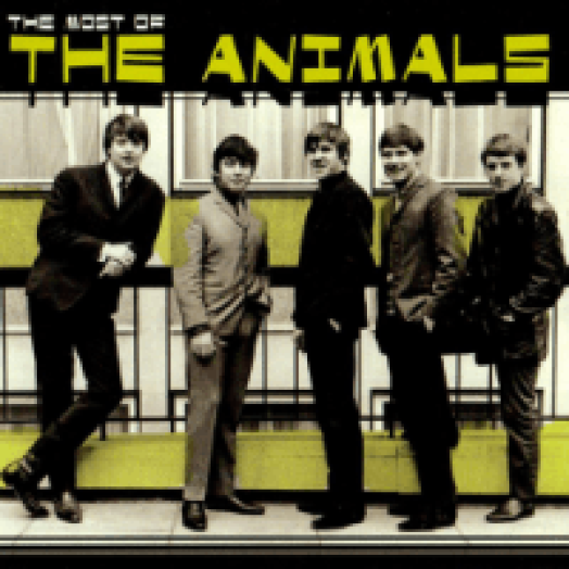Most Of The Animals CD