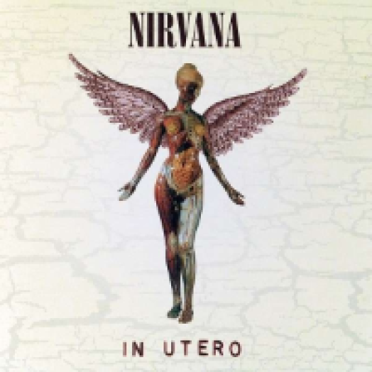 In Utero (20th Anniversary) (Deluxe Edition) CD