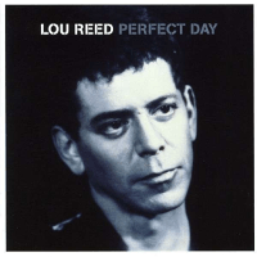 Perfect Day CD