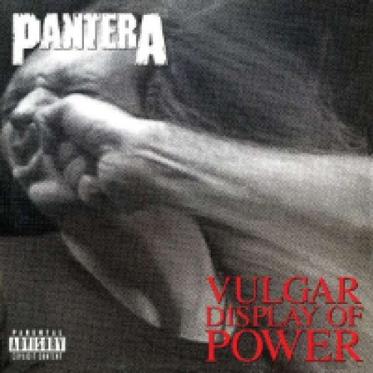 Vulgar Display Of Power (20th Anniversary Deluxe Edition) CD+DVD