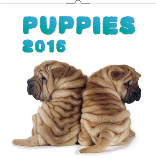 Falinaptár Puppies 6097