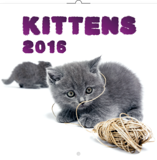 Falinaptár Kittens 6097