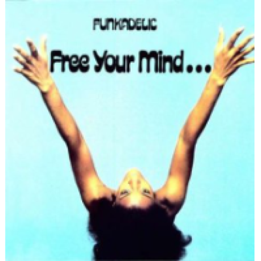 Free Your Mind And Your Ass Will Follow LP