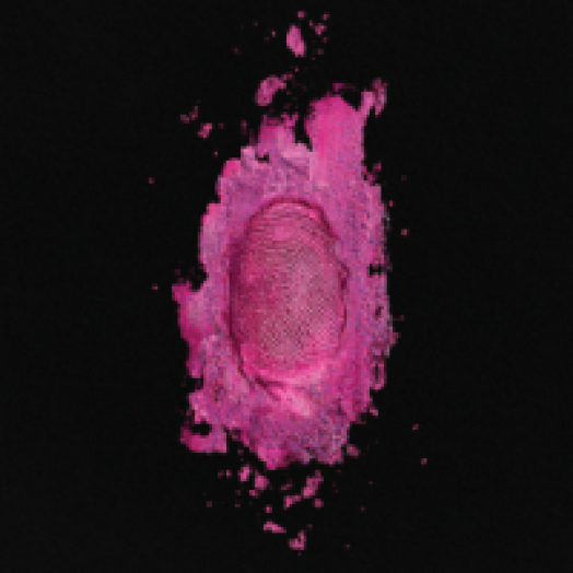 The Pinkprint CD