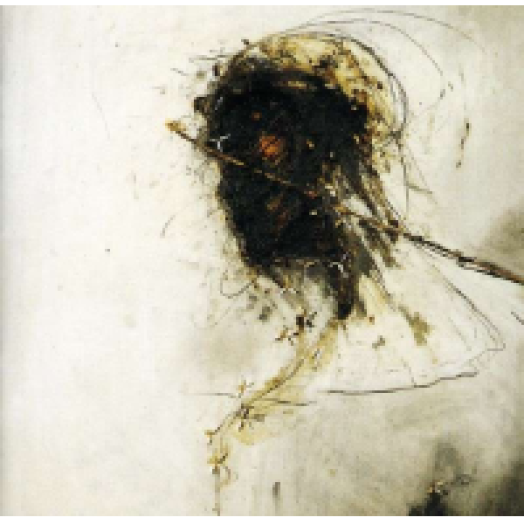 Peter Gabriel - Passion - Soundtrack (Remastered) (CD)