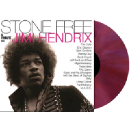 Stone Free (Jimi Handrix tribute) LP