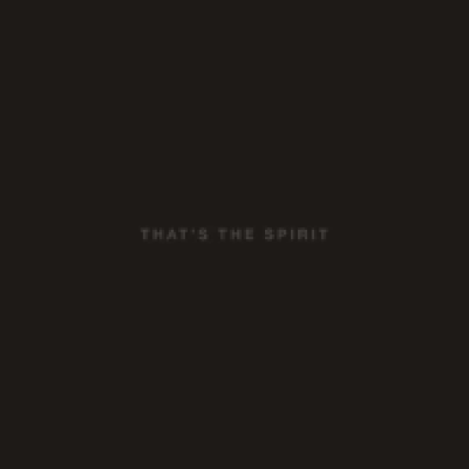That's The Spirit (Digipak) CD