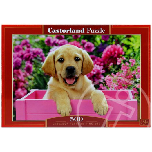 Labrador kölyök rózsaszín dobozban puzzle - 500 db