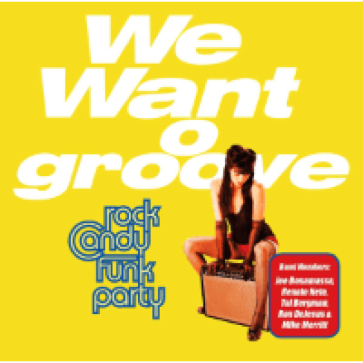We Want Groove LP