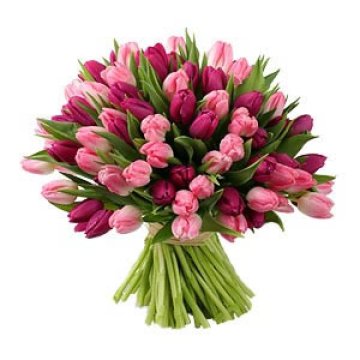 Rózsaszín és piros tulipáncsokor