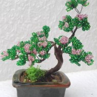 Virágzó bonsai