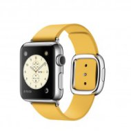 Apple Watch - 38 mm-es, rozsdamentes acél tok kicsi körömvirágszínű szíjjal, modern csattal